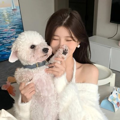 猫在爬